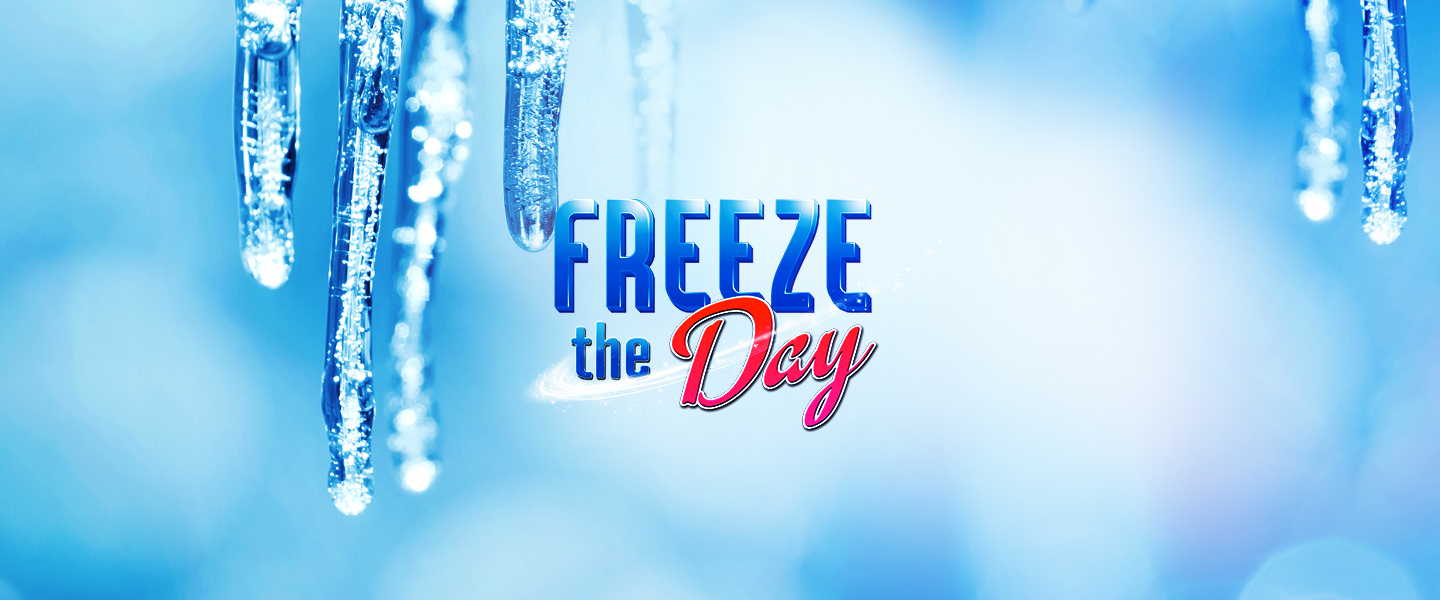 Freeze The Day