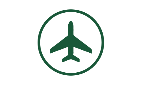 Flight Icon